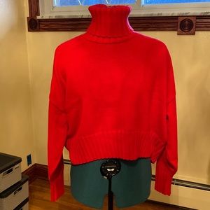 SOLD adidas x IVY PARK High/Low Turtleneck Sweater